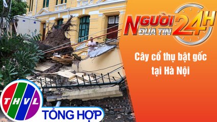 Người đưa tin 24H (18h30 ngày 13/6/2021) - Cây cổ thụ bật gốc tại Hà Nội