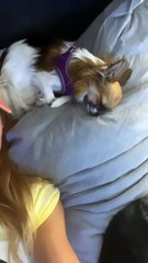 InstaStories-Torrie Wilson