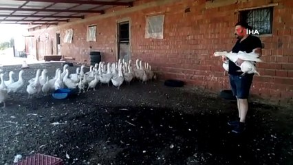 Huzuru ve para kazanmanın yolunu ‘Mast’ kazı üretiminde buldu