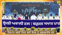 ਤੱਕੜੀ ਅਤੇ ਹਾਥੀ ਦੀ ਯਾਰੀ ਬਾਰੇ ਆਪ ਦਾ ਵੱਡਾ ਖੁਲਾਸਾ PM Modi behind SAD-BSP Alliance: AAP | The Punjab TV