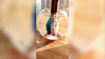 COISAS SATISFATÓRIAS QUE SÃO SUPER AGRADÁVEIS AOS OLHOS