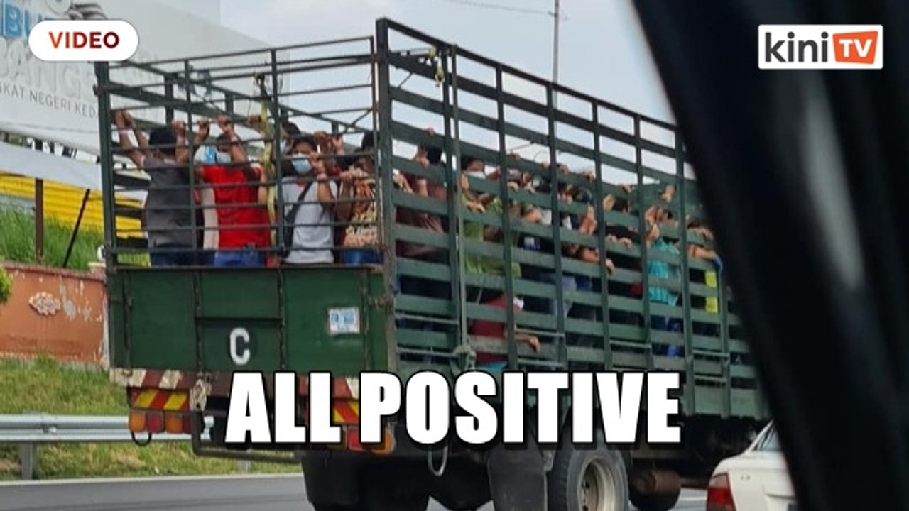 Packed like sardines, factory ferries 135 Covid-19 positive workers on lorry