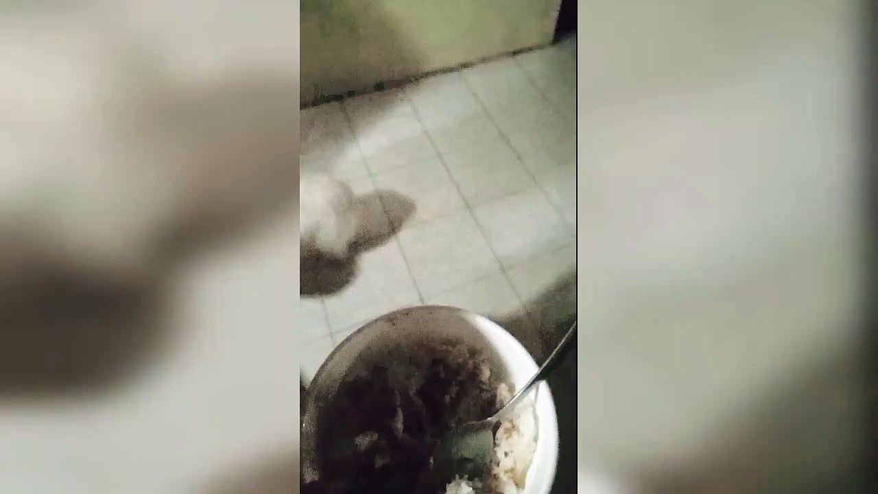 It's Feeding Time 