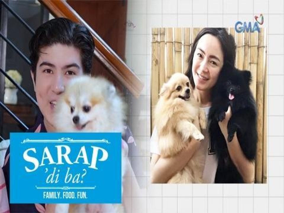 Sarap, 'Di Ba?: Meet the fur babies of Kitkat and the Legaspi family! | Bahay Edition