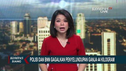Polisi dan BNN Bali Gagalkan Penyelundupan Ganja 44 KG dari Medan