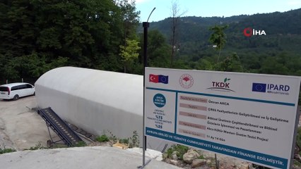 Özel sektörü bırakıp mantar bırakıp tesis kurdu: Siparişlere yetişemiyor