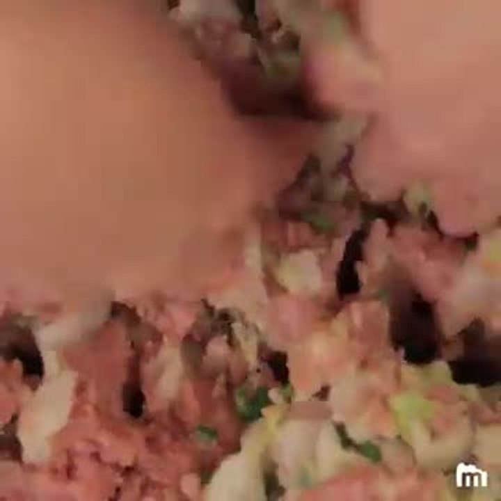 Gyoza (Ravioli Chinois à la Japonaise)