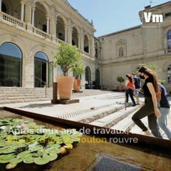 Le musée d'art de Toulon réhabilité après des années de travaux