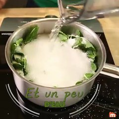 Sirop de menthe maison