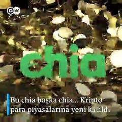 Kripto paralarda yeni yaklaşım; çevreci kripto para 'Chia'