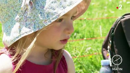 Gard : la transhumance démarre sur fond d’inquiétudes des éleveurs