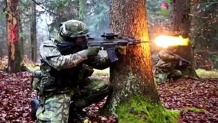 Bordo bereliler hakkında her şey