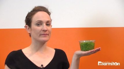 Recette : Chèvre chaud, polenta et pesto