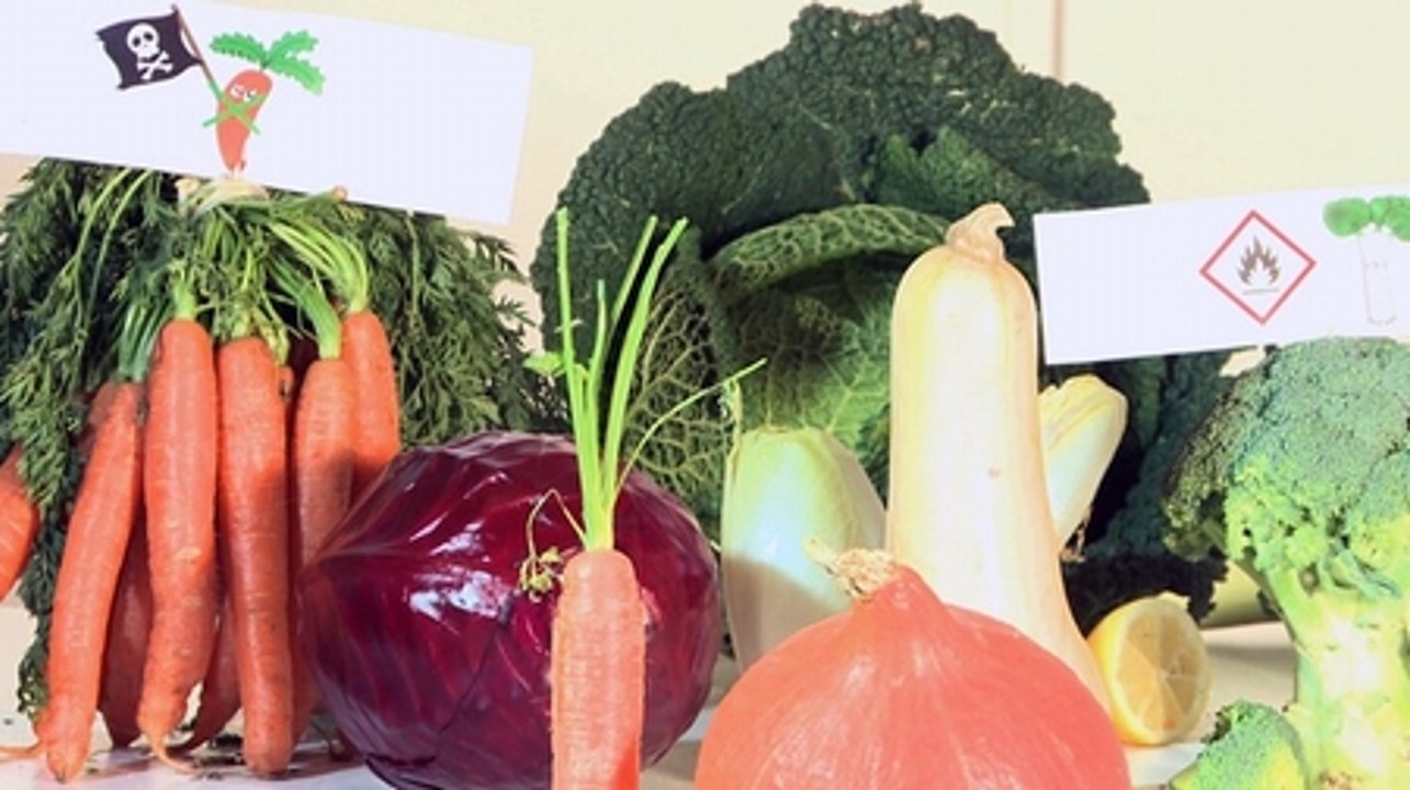 Manif' de légumes : tous ensemble pour une meilleure cuisson !