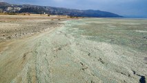 BURDUR GÖLÜ'NÜN ALG PATLAMASIYLA RENGİ DEĞİŞTİ