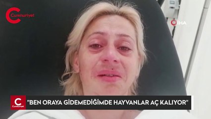 Sokak hayvanlarını besleyen kadın darp edildi