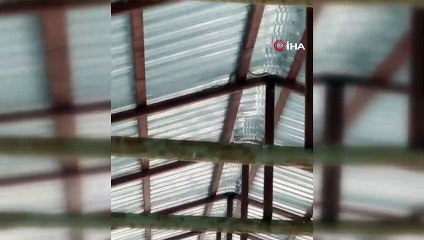 Bir tarafta zehirli yılanla konuşanlar, bir tarafta yılanı taşlayanlar