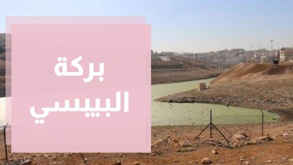 بركة البيبسي . مشكلة تراوح مكانها وأهالي الرصيفة بانتظار الحل