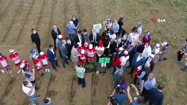 Engelli bireylerin mutlu günü...Sebze eken engelli bireyler ürünlerini yine kendileri hasat ederek satacak