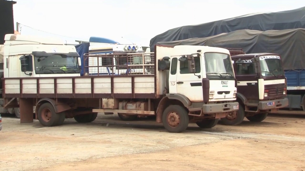 Douanes ivoiriennes: saisie de 1,2 tonnes de cannabis et de 30 tonnes de sucre