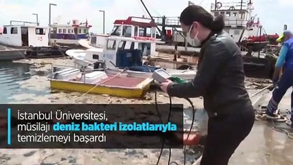 İstanbul Üniversitesi'nden müsilaj temizliği başarısı