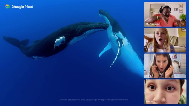 Nuevas herramientas profesionales para todas las cuentas de Google (inglés)