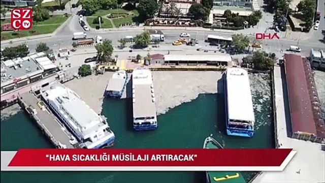 Meteoroloji Uzmanı Özdemir: Hava sıcaklığı müsilajı artıracak