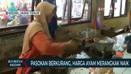 Pasokan Berkurang, Harga Daging Ayam Melambung Tinggi