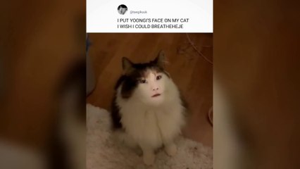 BTS "You Laugh = You Lose" | Funny Videos #2