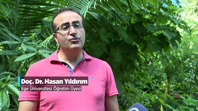 Amanos Dağları'nda ters lale türü keşfedildi