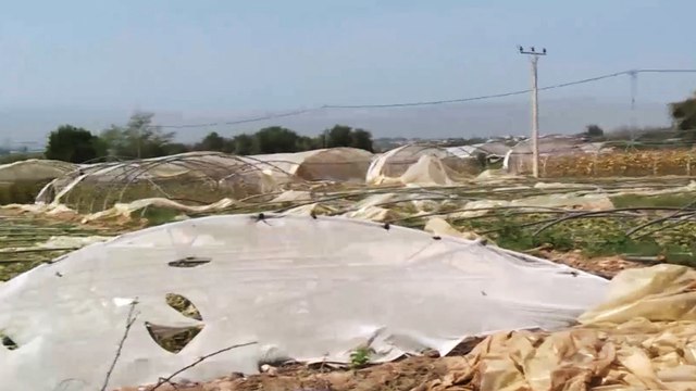 معمل لتدوير مخلفات البلاستيك الزراعية بالأردن