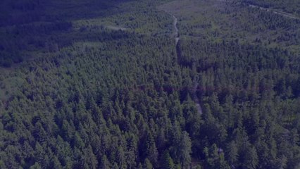 Essity apuesta por la sostenibilidad