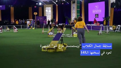 مسابقة عروض الكلاب الشهيرة تعود إلى نيويورك