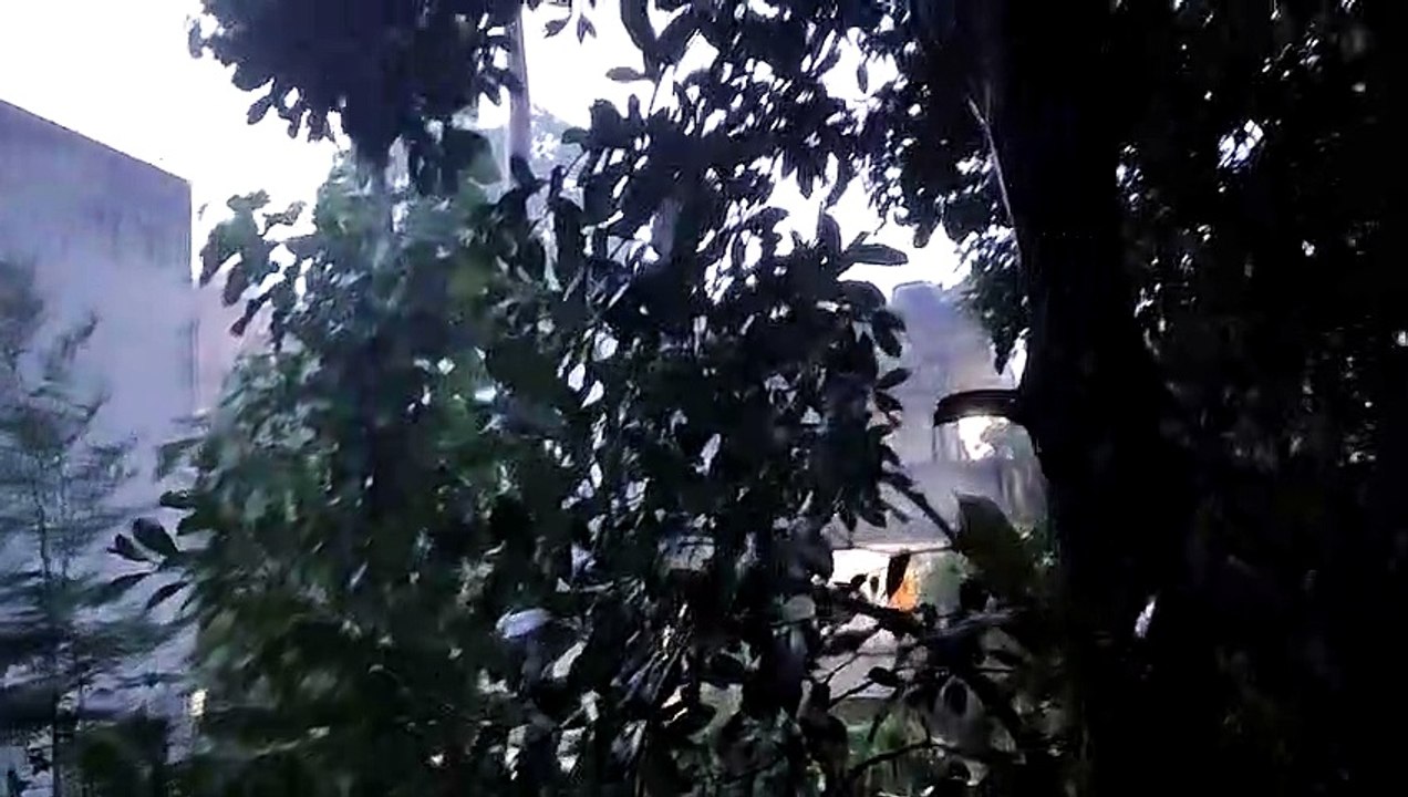 Chennai Rain livr