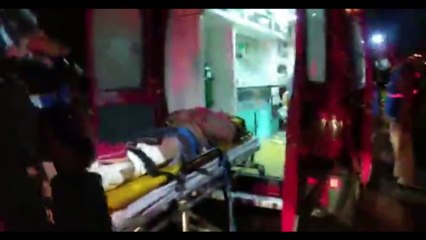 Cachorrinho invade ambulância para seguir tutor que foi atropelado e também faz plantão no hospital esperando alta