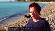 Corse : nettoyage des plages en cours après la découverte de galets d'hydrocarbure