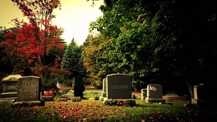 Un Extraño visitaba la Tumba de su Hermano durante 70 años, Hasta que Finalmente descubrió quién era