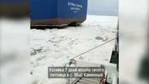 Perdido no gelo do Ártico há mais de 20 dias, cão é resgatado por marinheiros russos