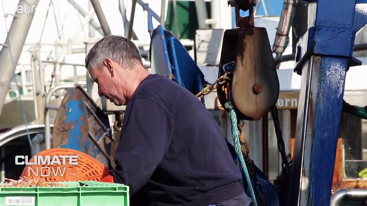 Fischwanderungen - eine Folge der globalen Meereserwärmung