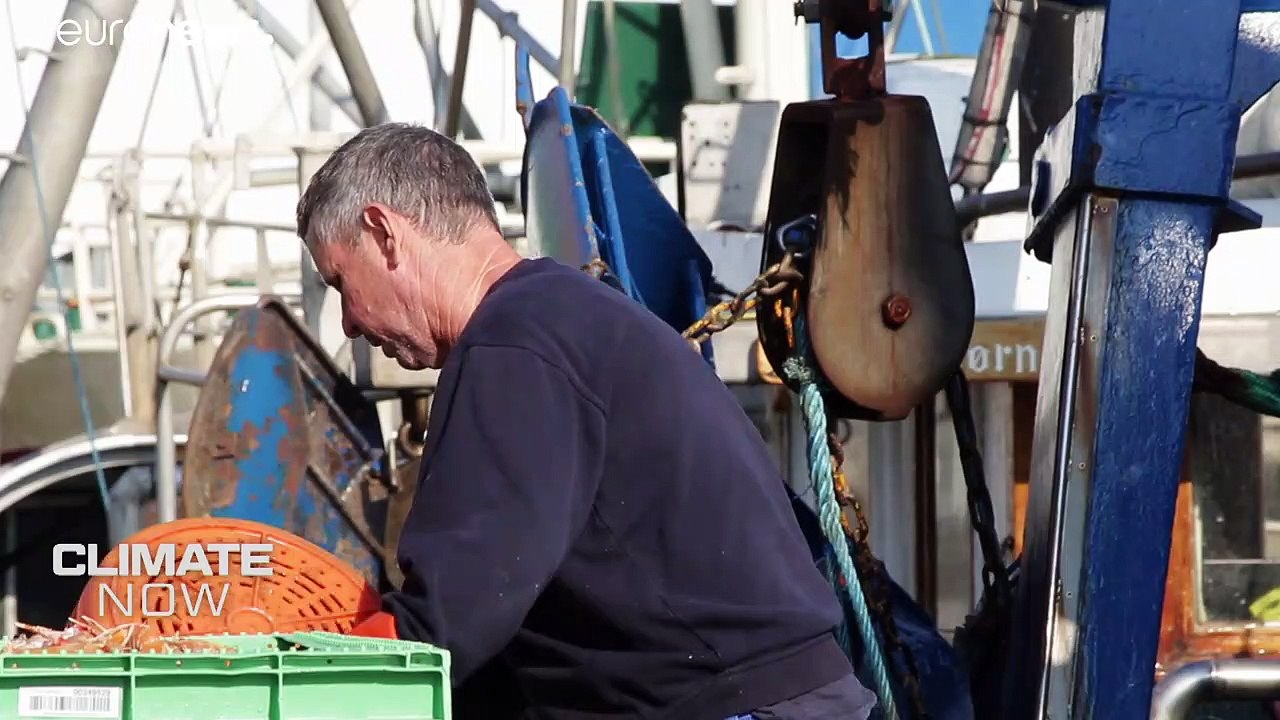 Η κλιματική αλλαγή επηρεάζει τους παγκόσμιους π...