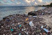 Los desechos de la comida rápida están llenando rápidamente el océano de plástico