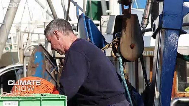 Глобальное потепление гонит рыбу на север