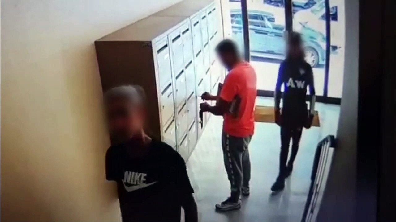 Le livreur et ses complices en profitent pour dépouiller les boîtes aux lettres des voisins