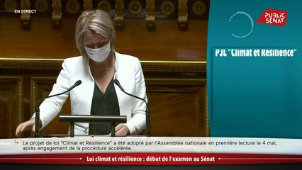 Loi Climat: "Ce texte est une nouvelle pierre de la République écologique", selon Barbara Pompili