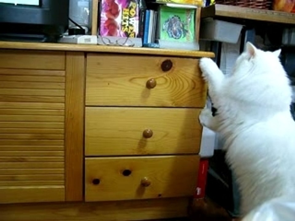 bubu is trying to open the drawer