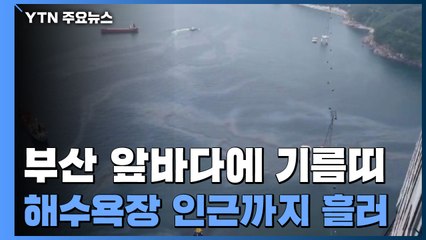 피서철 앞둔 해수욕장 앞바다 기름띠 '둥둥'...해경 수사 착수 / YTN