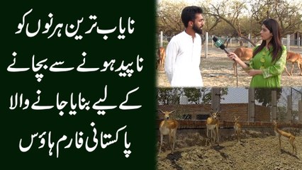 Nayab tareen hirrano ko napeid honay se bachanay k liye banaya janay wala Pakistani farm house