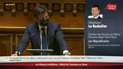Loi Climat: "Je ne partage pas votre enthousiasme sur ce texte Madame la ministre"