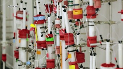 Vacuna de Novavax tiene más de 90% de eficacia, incluso contra variantes