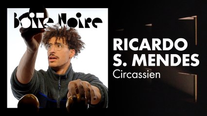 Ricardo Serrao Mendes | Boite Noire